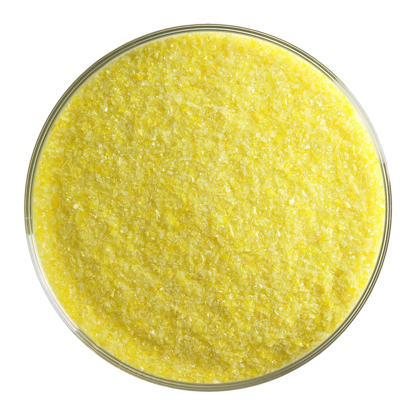 Sunflower Yellow Opalescent