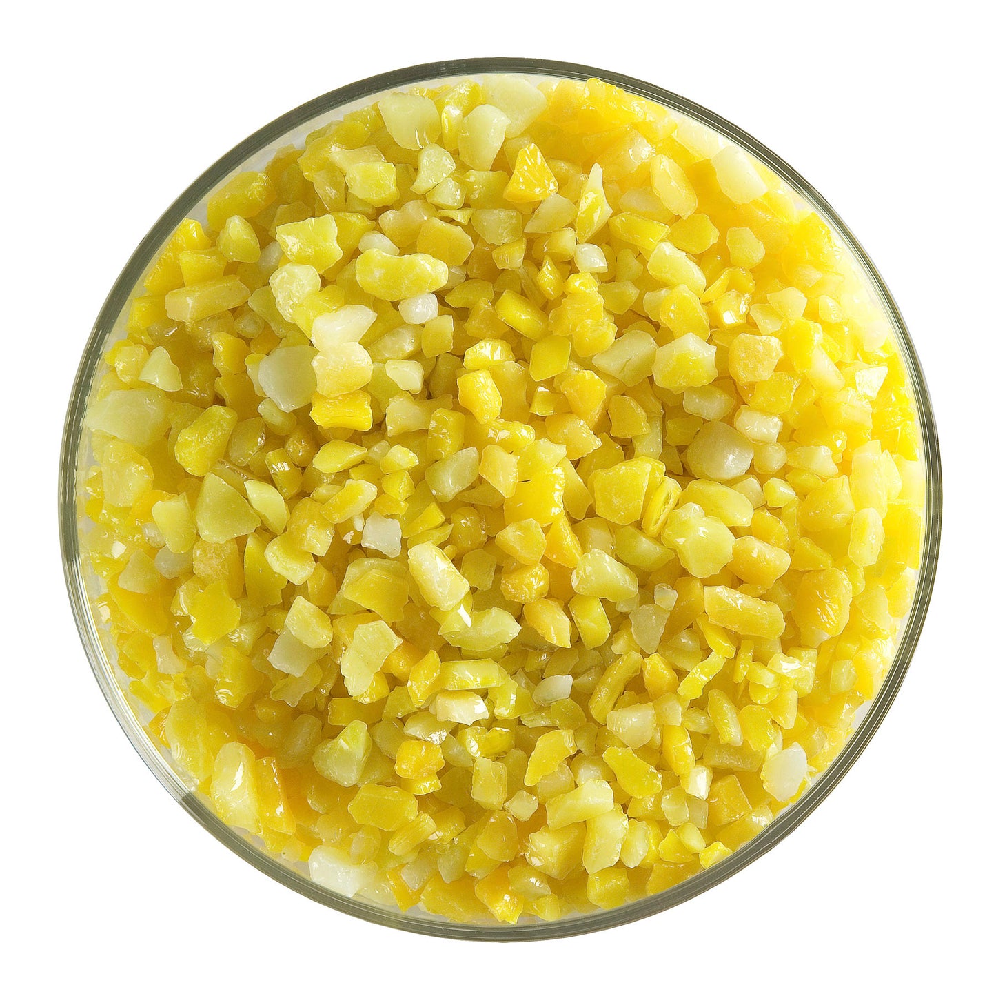 Sunflower Yellow Opalescent