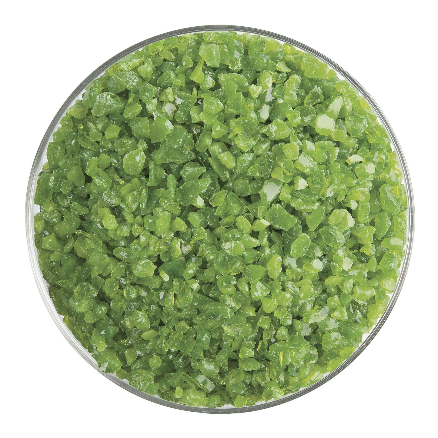 Pea Pod Opalescent
