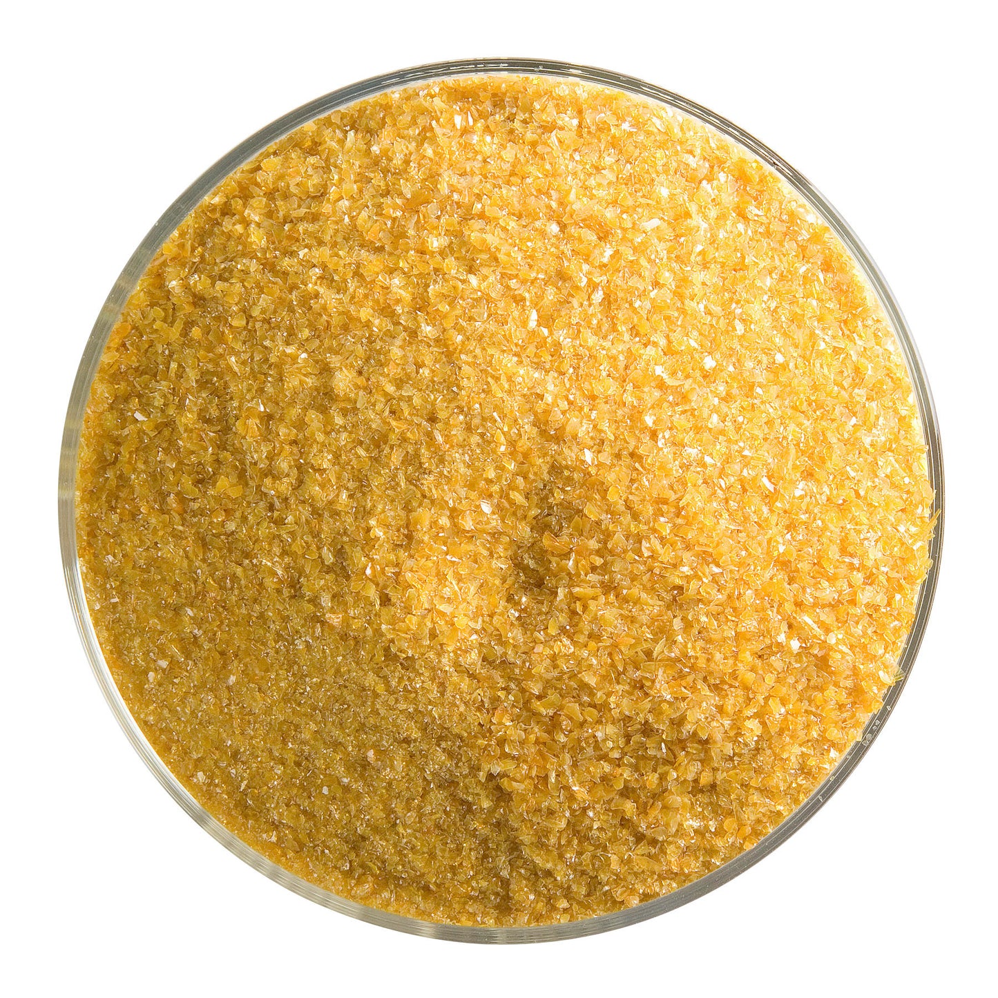 Butterscotch Opalescent