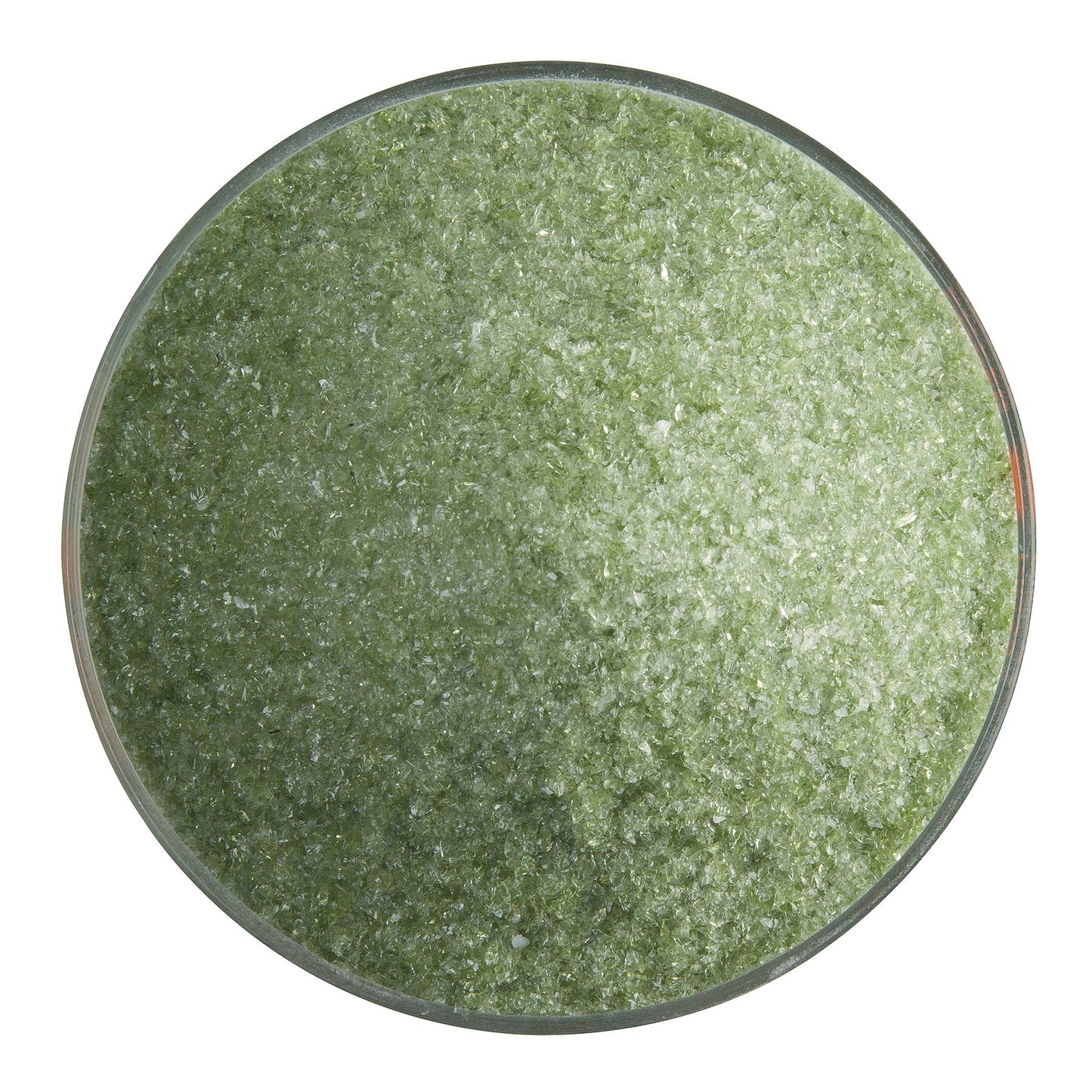 Fern Green Transparent,