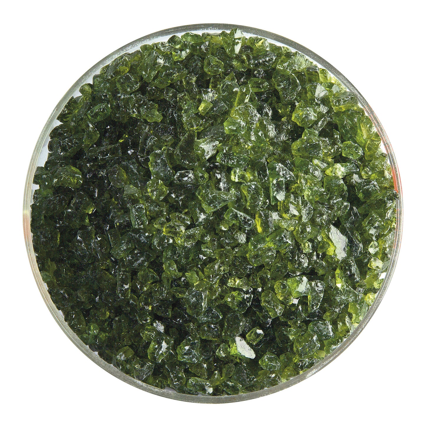 Fern Green Transparent,