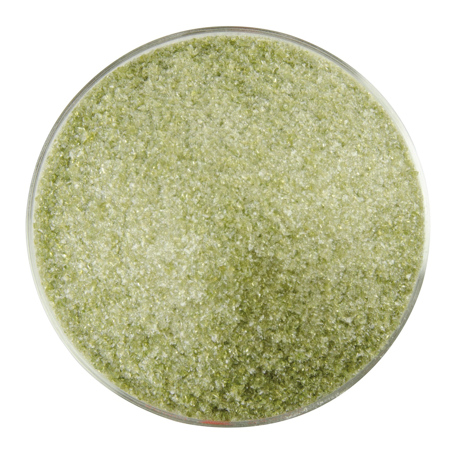Lily Pad Green Transparent
