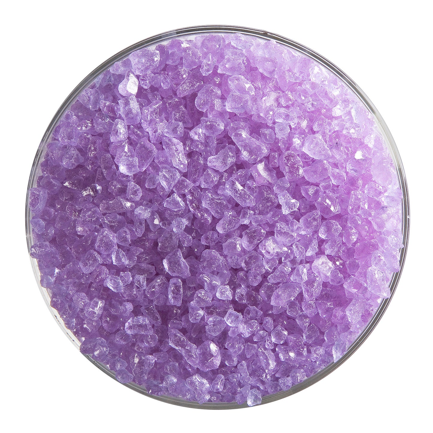Neo-Lavender Shift Transparent