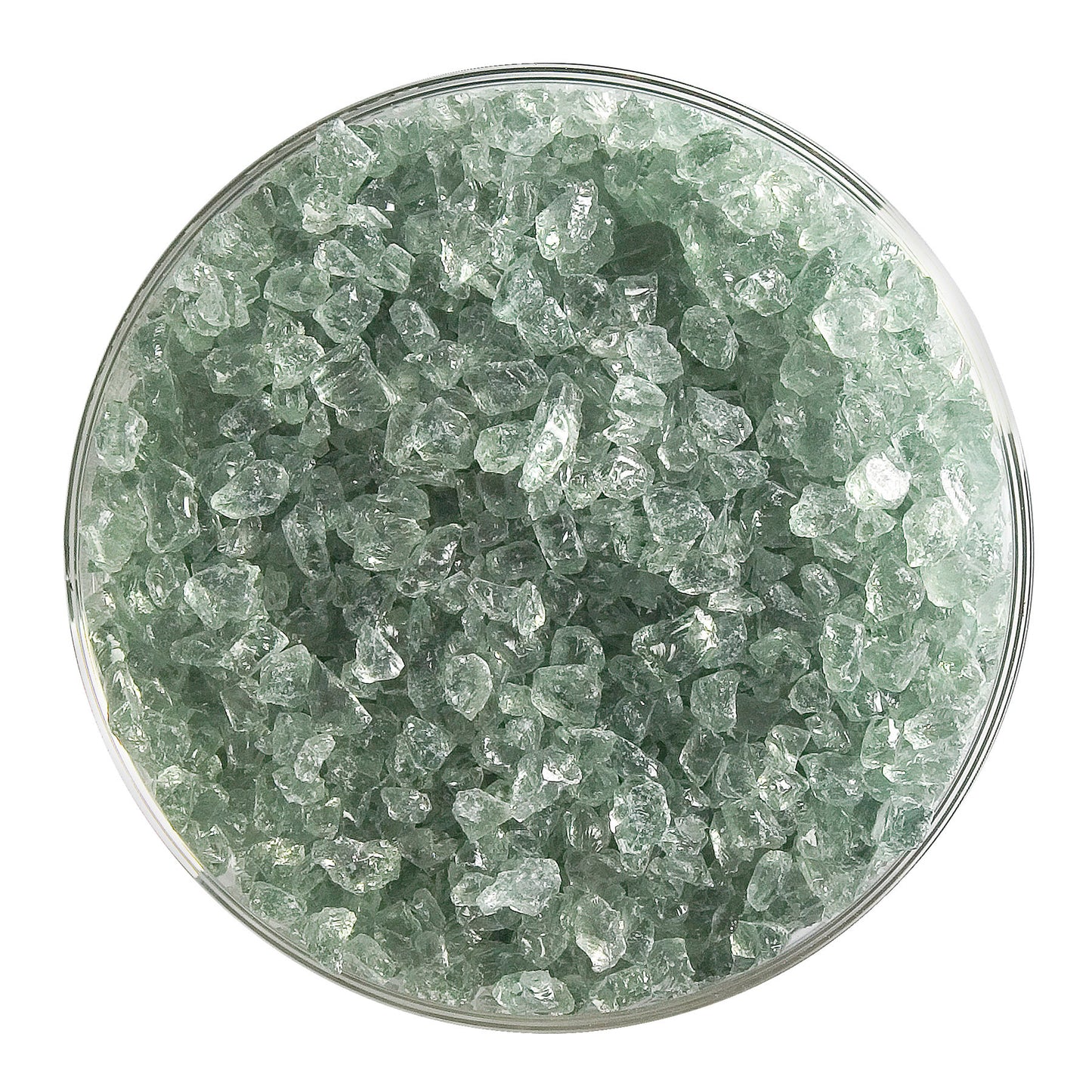 Spruce Green Tint