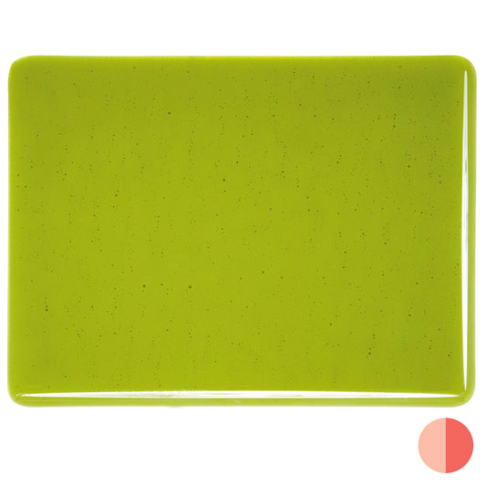 Fern Green Transparent,