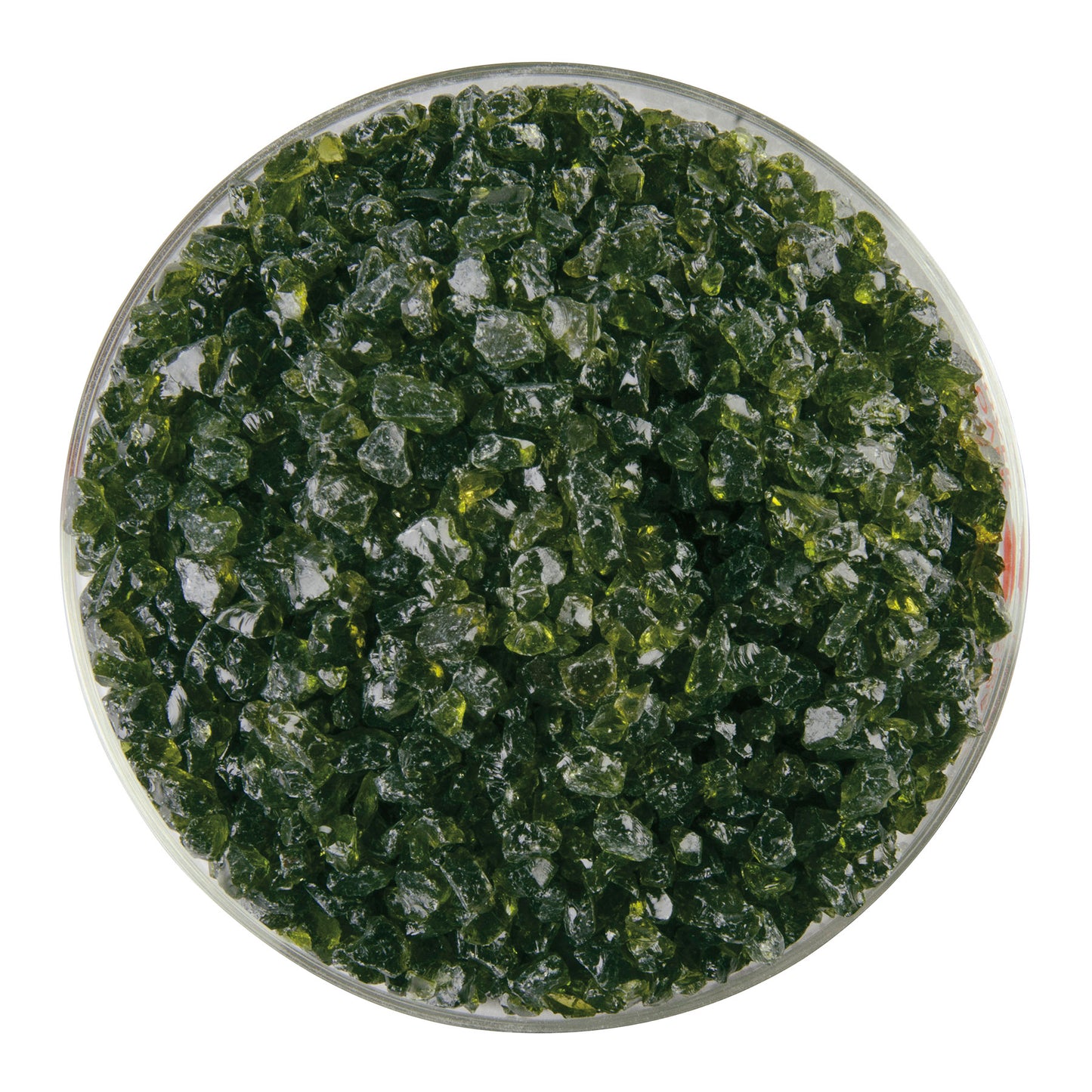 Lily Pad Green Transparent