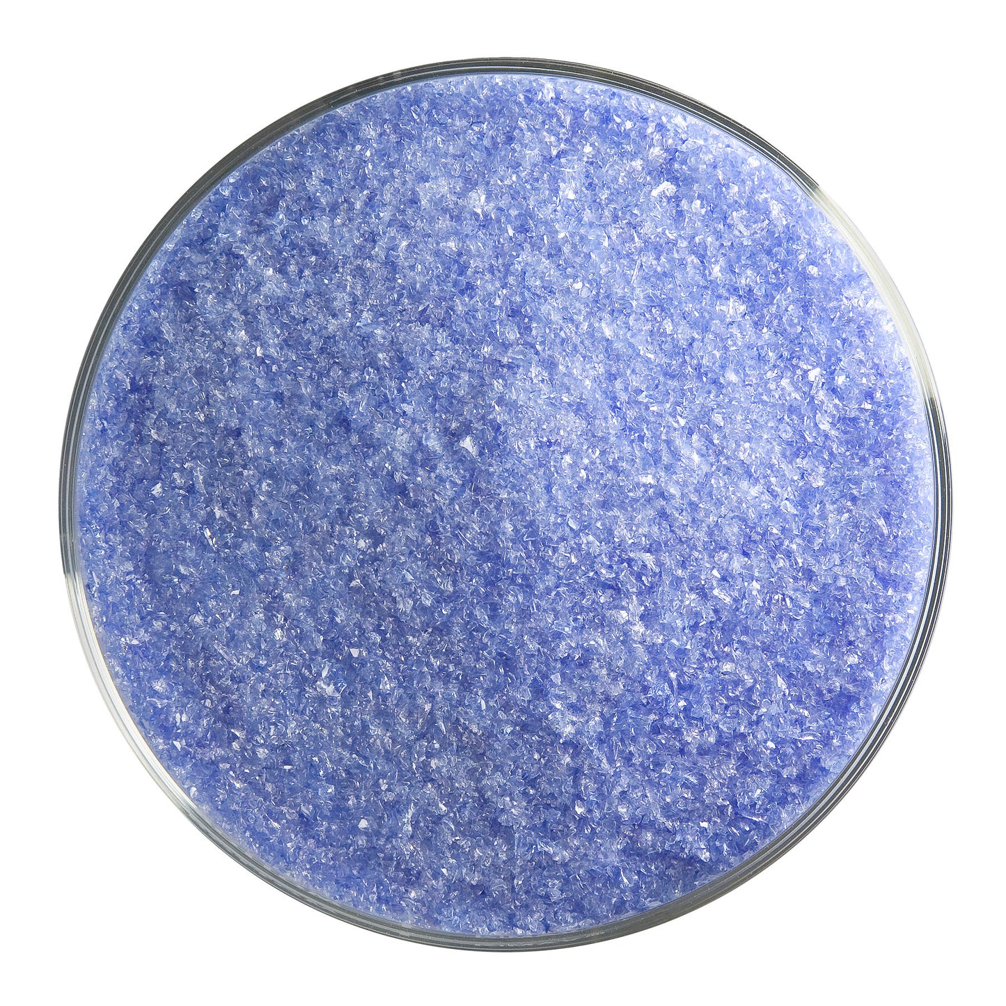 Violet Striker Transparent